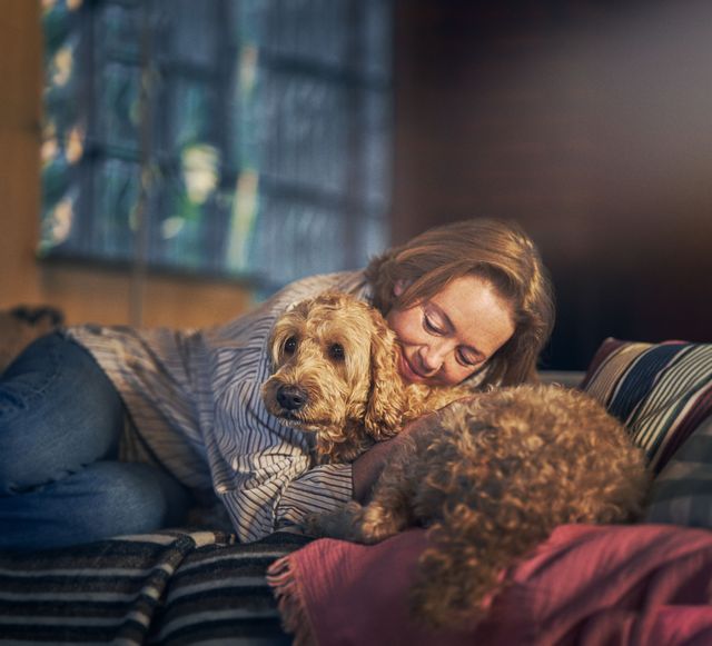Kvinna som gosar med sin hund i soffan, ett exempel på trygghet och närhet i hundens beteende.