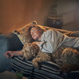 Matte och hund myser i soffan.