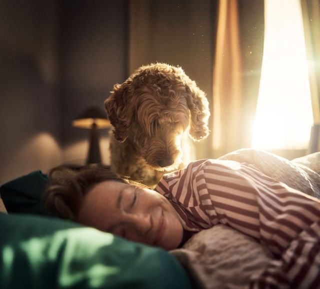 Hund tittar ner på sin matte som myser i sängen.