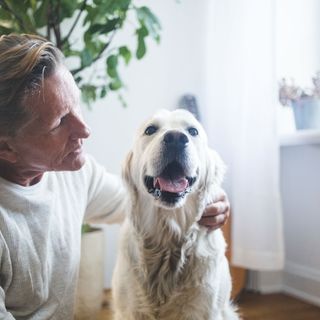 Husse klappar om sin golden retriever.