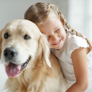 Golden retriever med flicka