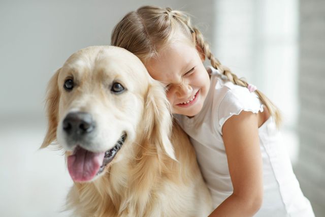 Köpa hund tänk på att teckna djurförsäkring