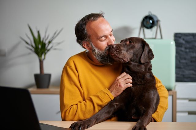 Hund med sin ägare i kontoret
