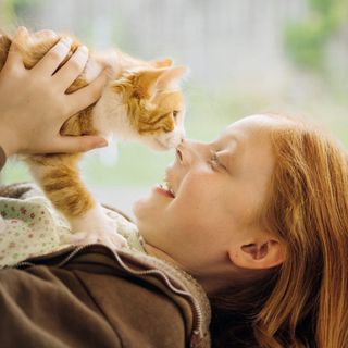Kattunge kryper på lill-mattes mage och nosar henne i ansiktet.