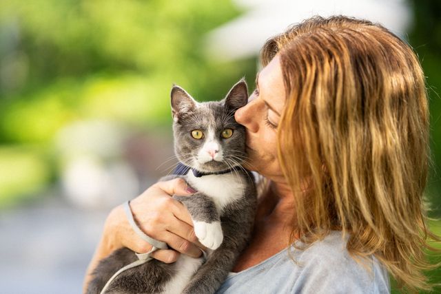 Katt blir pussad på kinden av sin ägare.