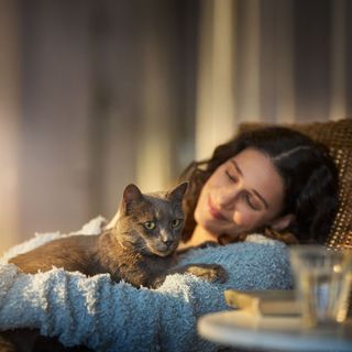 Matte kramar om sin katt i fåtöljen.