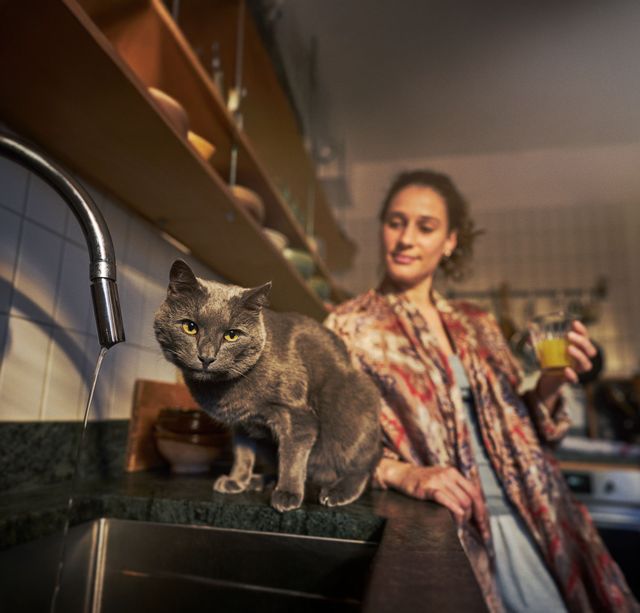 Kvinna med sin gråa katt i köket