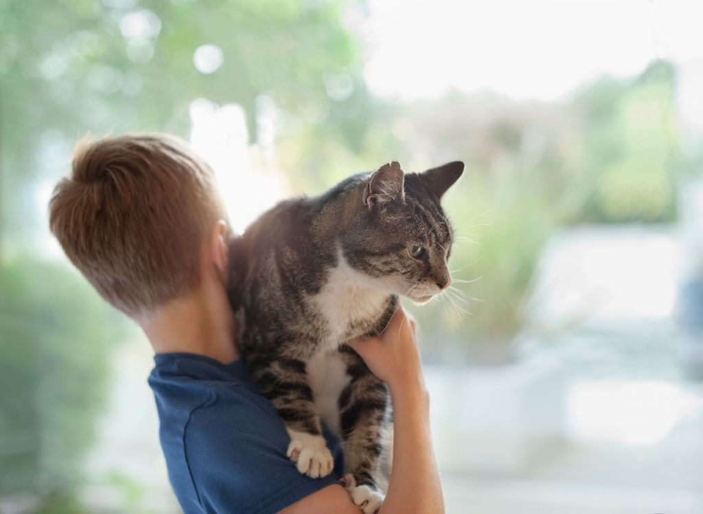 Katt klättrar upp så lill-husses axel och spanar ut.