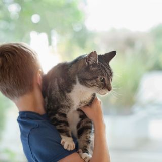 Pojke håller katt som klättrar upp för hans axel.