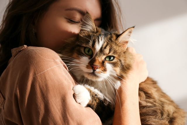 Katt spanar ut från sin mattes axel i ett uterum.