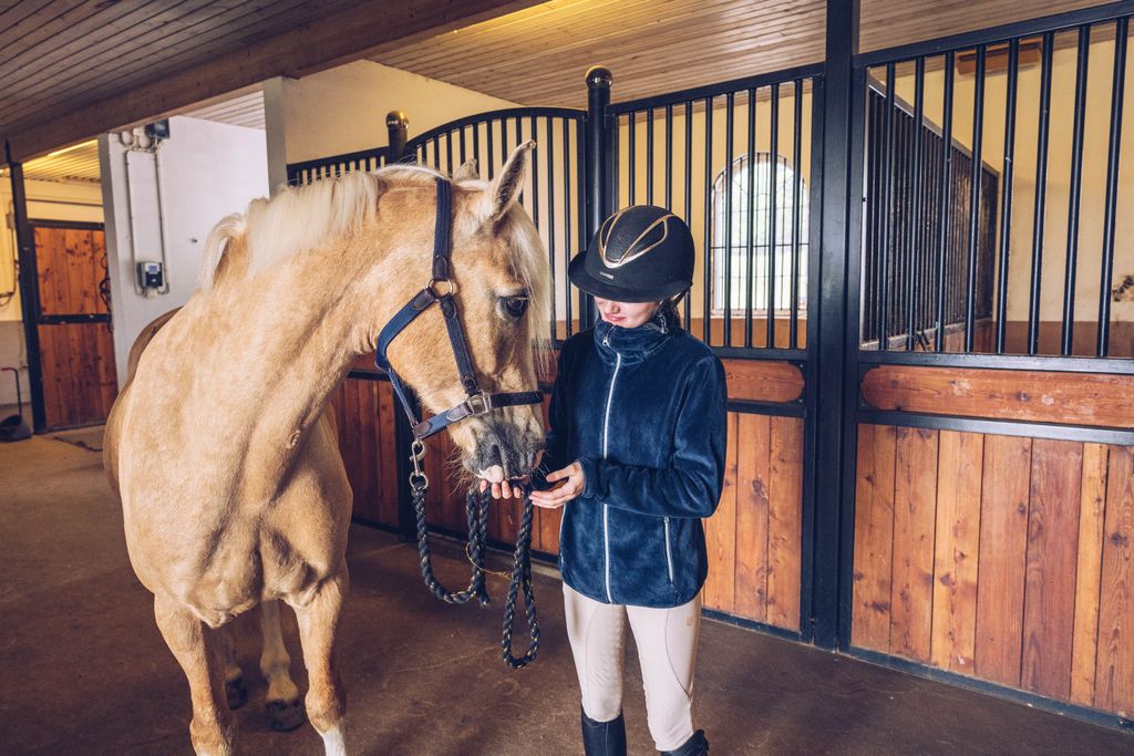 En häst med flicka