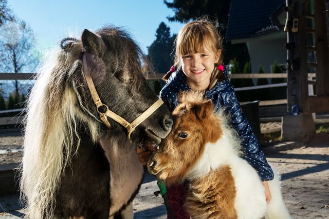 En flicka med två ponnyer