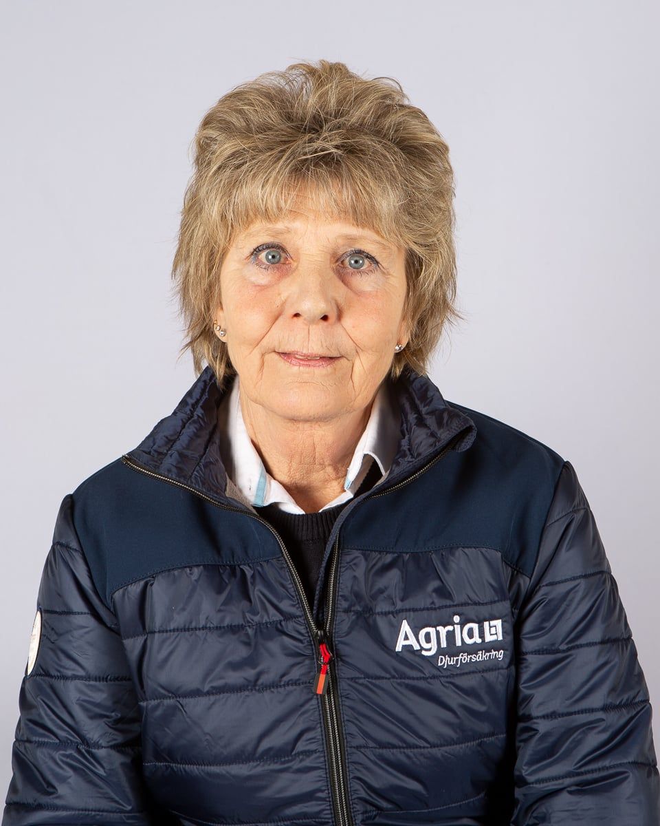 Ann Hellström