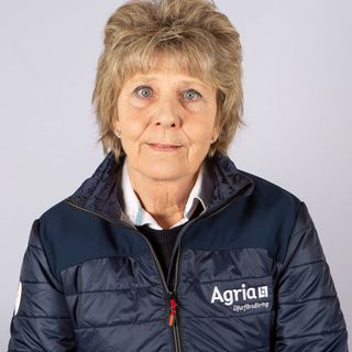 Ann Hellström