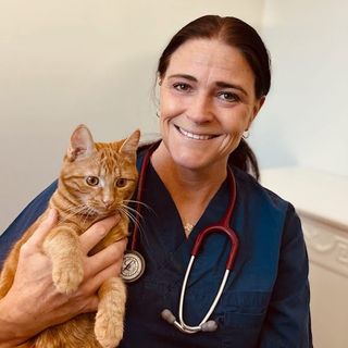 Caroline Jangdal med orange katt