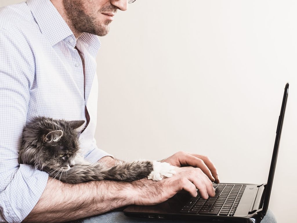 Man skriver på datorn med katt i knät