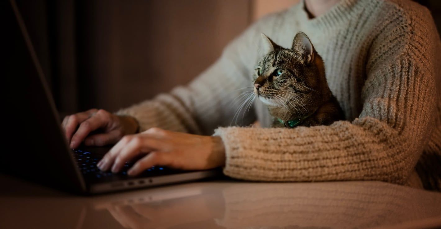 Kvinna skriver på dator med katt i knät