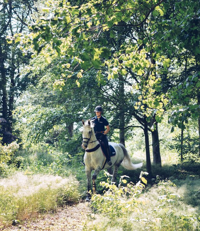 Häst och ryttare rider ut i naturen.