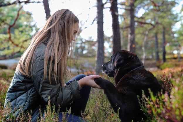 Matte och hund håller hand och tass.