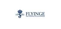 Flyingestiftelsen logga