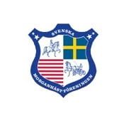 Svenska Morganhästföreningen logga