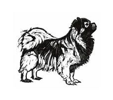 Svensk Specialklubb för Tibetansk Spaniel logga