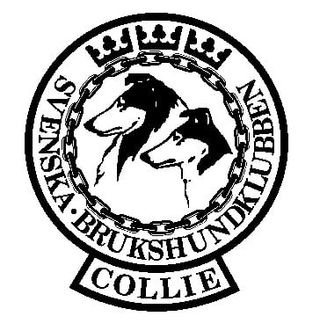Svenska Collieklubben (SCK) logga