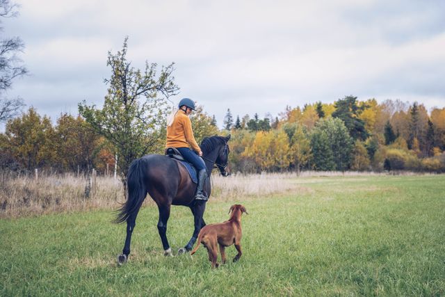 Kvinna travar på äng med hund springandes bredvid
