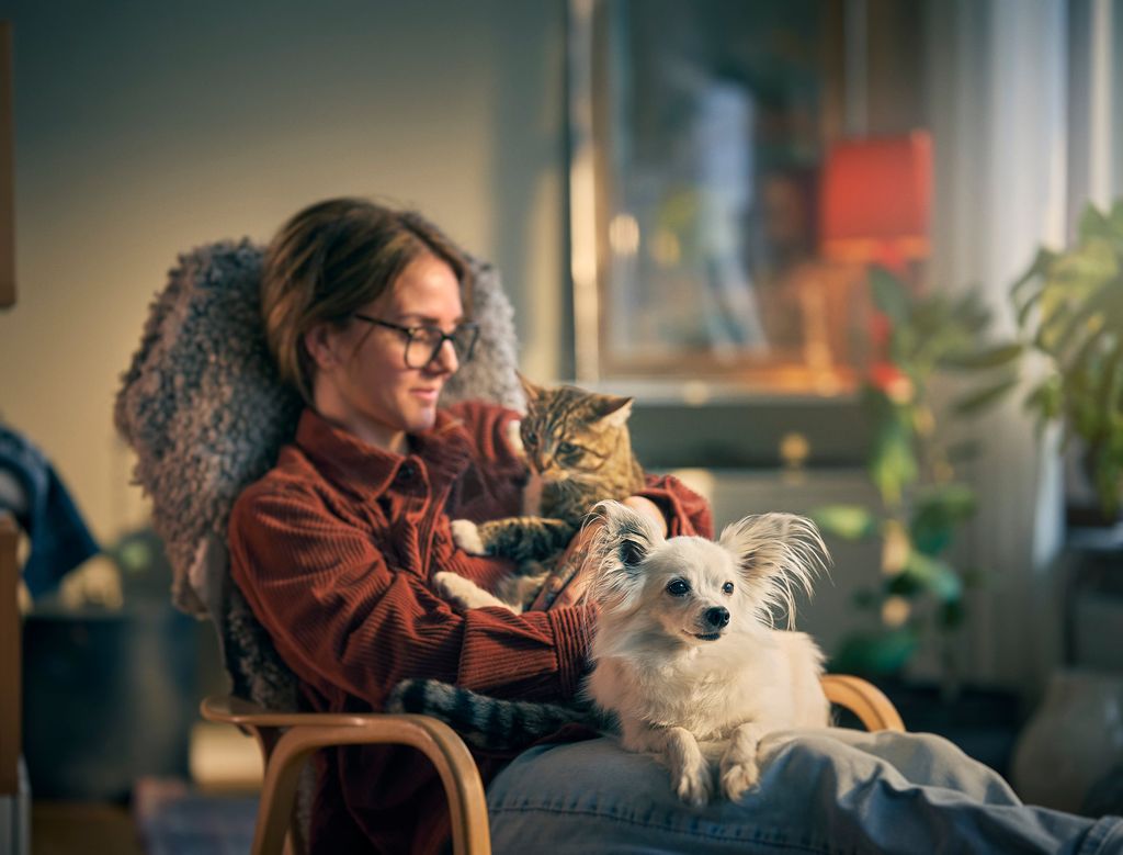 Hund och katt i mattes famn