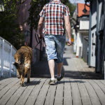 Hund går fot bredvid sin husse.
