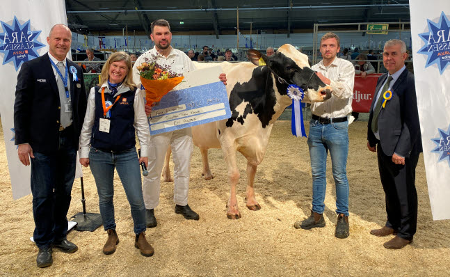 Bild på Holstein-vinnaren.