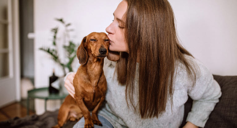 Nya djurskyddsregler för dig med hund