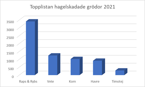 Grödatoppen, hagelskadade arealer 2021.