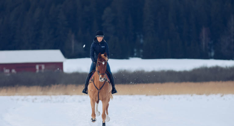 Anna Freskgård galopperar i snön