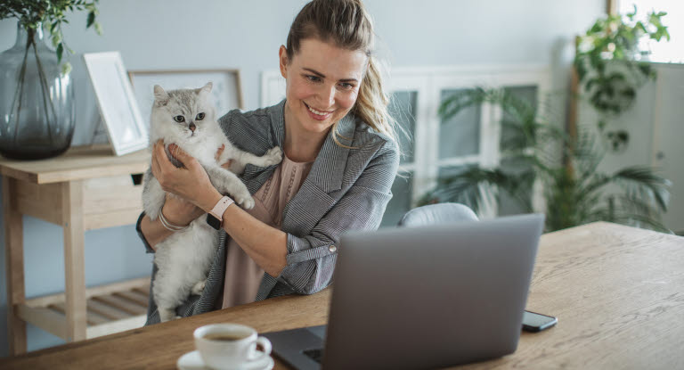 Samarbete VetAtHome