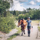 Kvinna i kortärmad tröja leder sin häst från hagen.