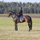 Ulla Håkansson rider i naturen