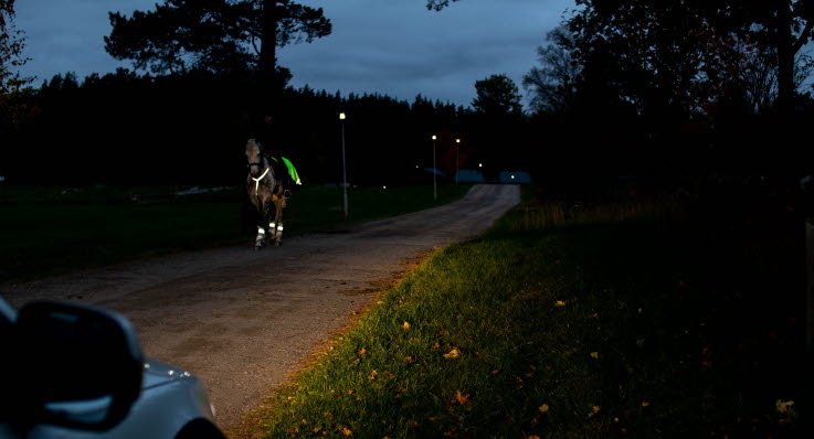 Reflexer är viktigt att använda när du rider