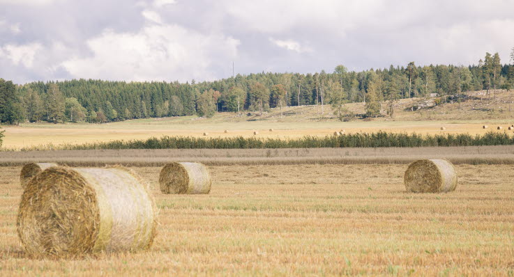 halm grovfoder