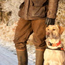 Jägare och jaktlabrador ute på jakt.