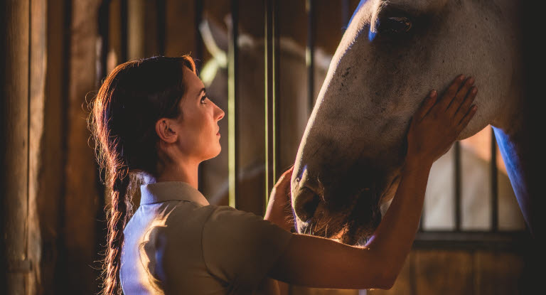 Hur du agerar vid brand i stall