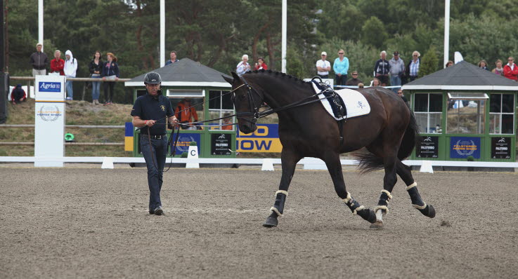 Inget intresse av att dansa efter skilsmässa photo 6