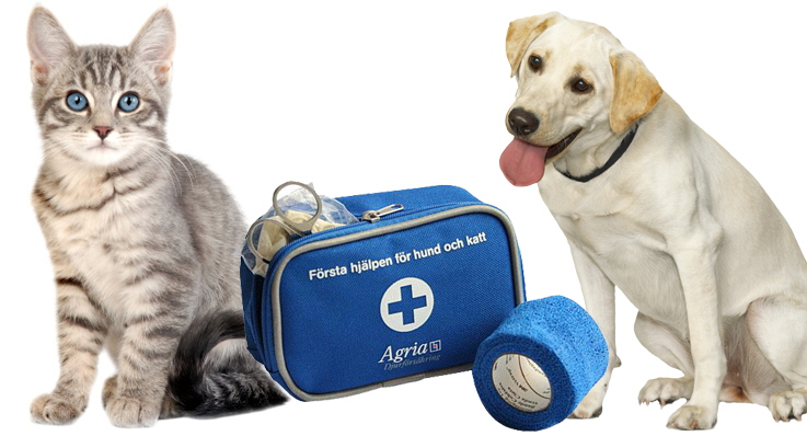 Katt, hund och första hjälpen-väska