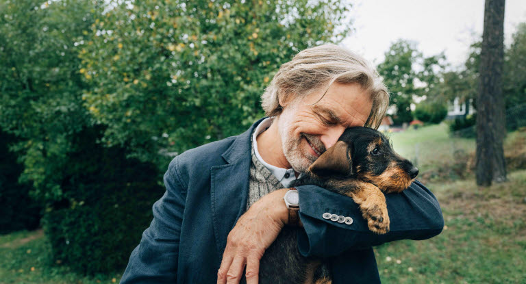 Statistsik över hundars hälsa - Agria Breed Profiles