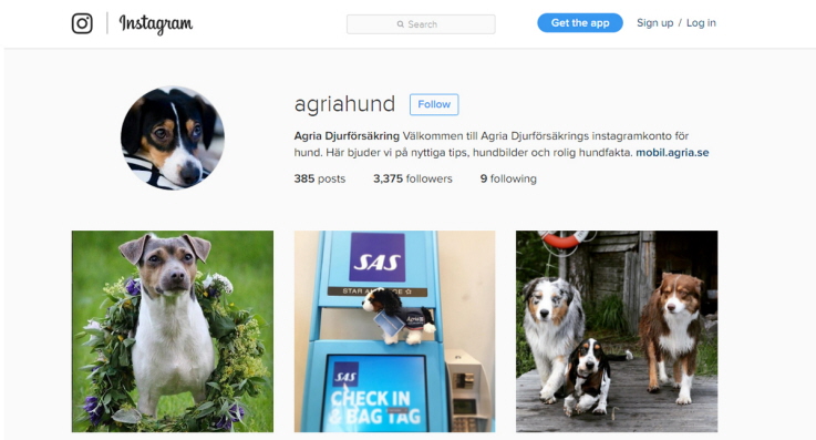 Skärmdump på Agrias Instagramkonto för hund.
