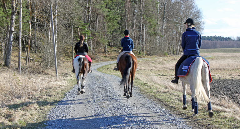 Agrias ridsportstipendium Agria Djurförsäkring satsande juniorryttare