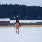 Anna Freskgård galopperar i snön