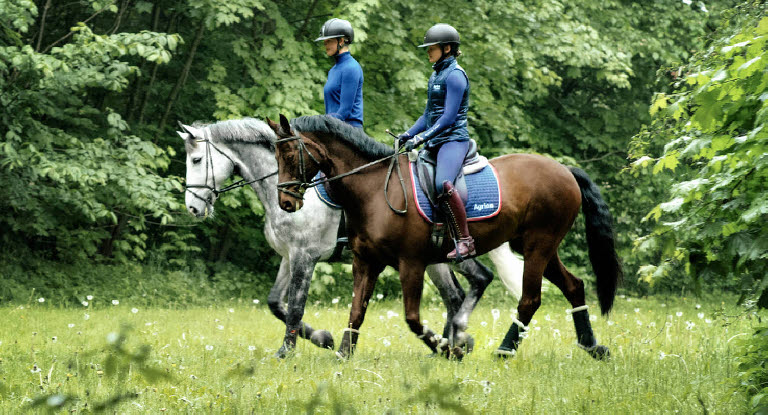 Två hästekipage som rider ut i naturen.