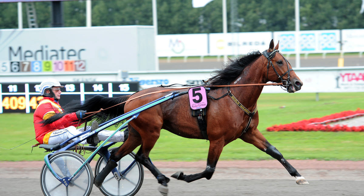Trav och Galopp Veterinärvård - Agria Djurförsäkring