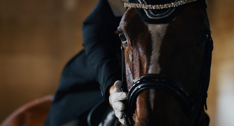 Dressyrhäst på tävling, som smeks på halsen av sin ryttare.